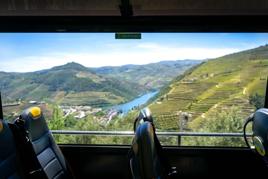 From Porto: Full-Day Douro Valley & Wine Tour with Lunch - Quinta São Luiz Port Tasting: What You Learn, What You Taste
