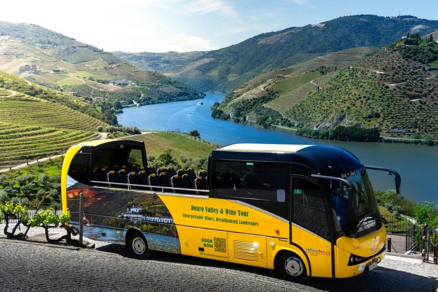 From Porto: Full-Day Douro Valley & Wine Tour with Lunch - Coach Comfort and Timing: Why the Bus Matters on a 10-Hour Day