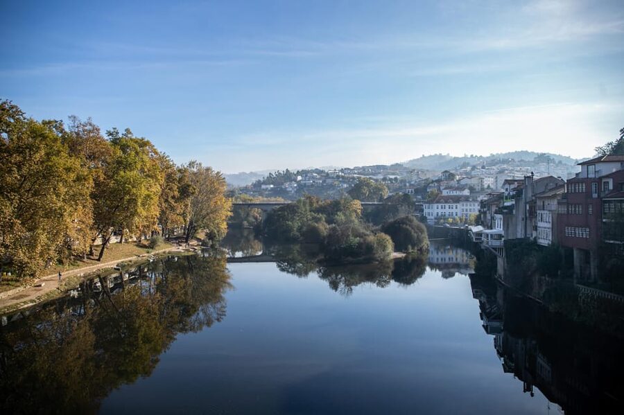 From Porto: Full-Day Douro Valley & Wine Tour with Lunch - Who This Tour Suits Best, and Who Should Think Twice