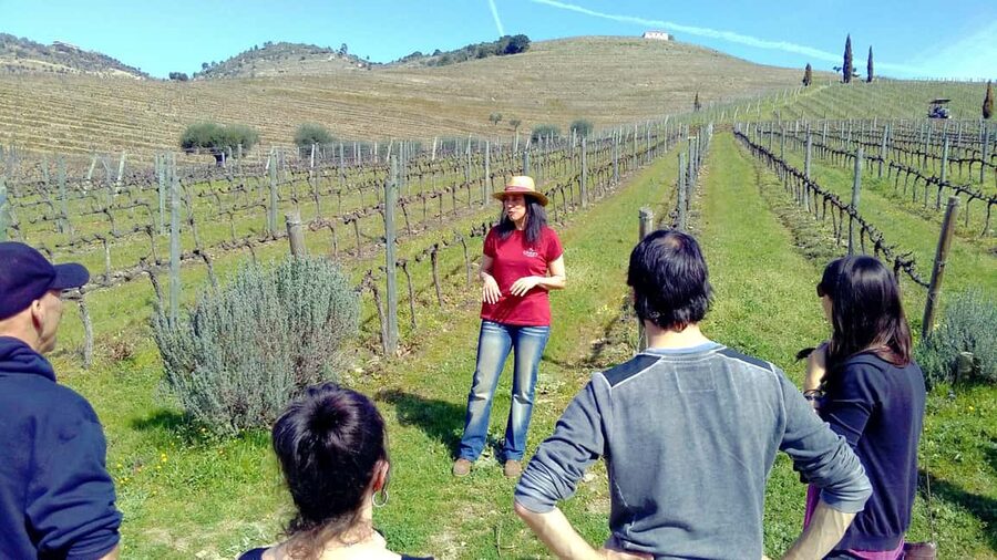 From Porto: Premium Douro Valley 4 Vineyards Tour with Lunch - Key things that make this Douro tour worth your time