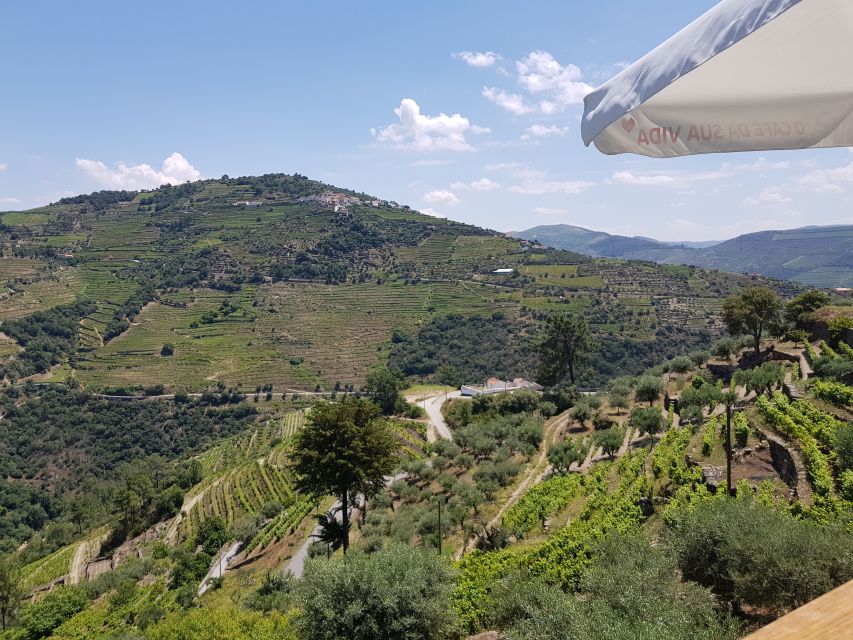 From Porto: Premium Douro Valley 4 Vineyards Tour with Lunch - The wine lineup: Porto and DOC wines, plus how to think about what you’re tasting