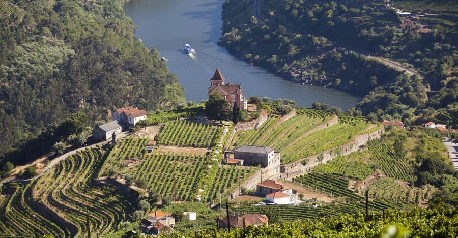 From Porto: Premium Douro Valley Small-Group Wine Tour - Premium lunch at the winery, including vintage port over fire