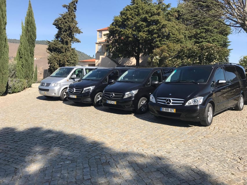 From Porto: Premium Douro Valley Small-Group Wine Tour - What’s actually included in the tastings and meal