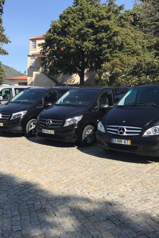 From Porto: Premium Douro Valley Small-Group Wine Tour - Winery stop one: port, table wine tastings, and olive oil