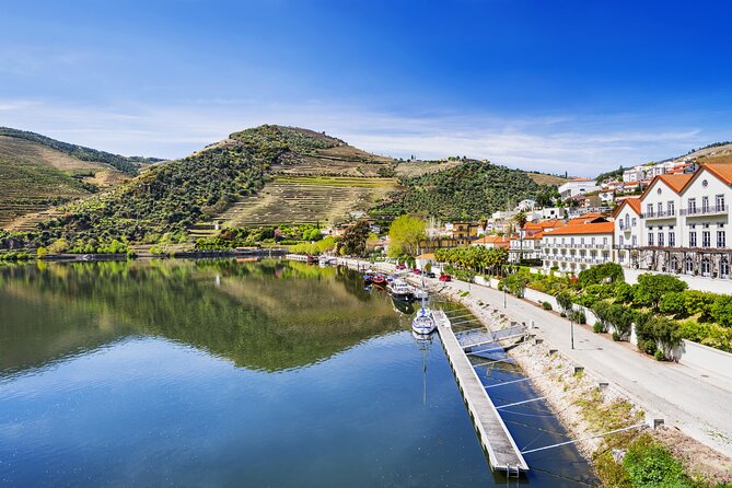 From Porto: Private Douro Valley Tour - Why this private Douro day feels worth the cost