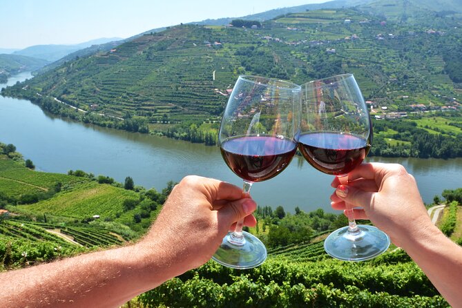 From Porto: Private Douro Valley Tour - The N222 scenic return and why the route matters