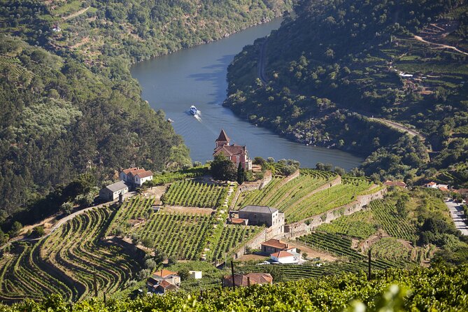 From Porto: Private Douro Valley Tour - Price and timing, with real-world expectations