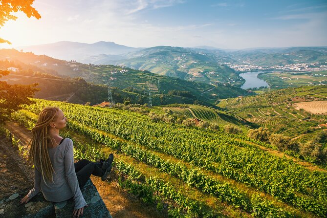 From Porto: Private Douro Valley Tour - Should you book this Douro Valley private tour?