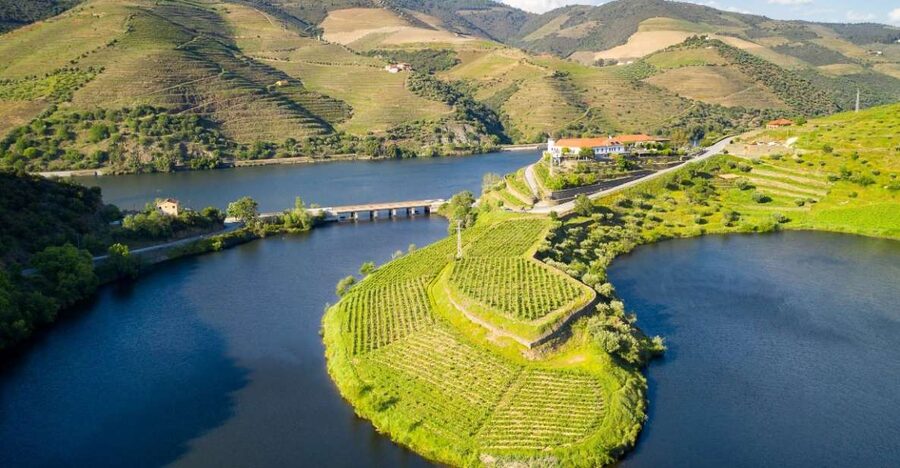From Porto: Private Douro Valley Tour with Booking Service - Key things that make this Douro day work