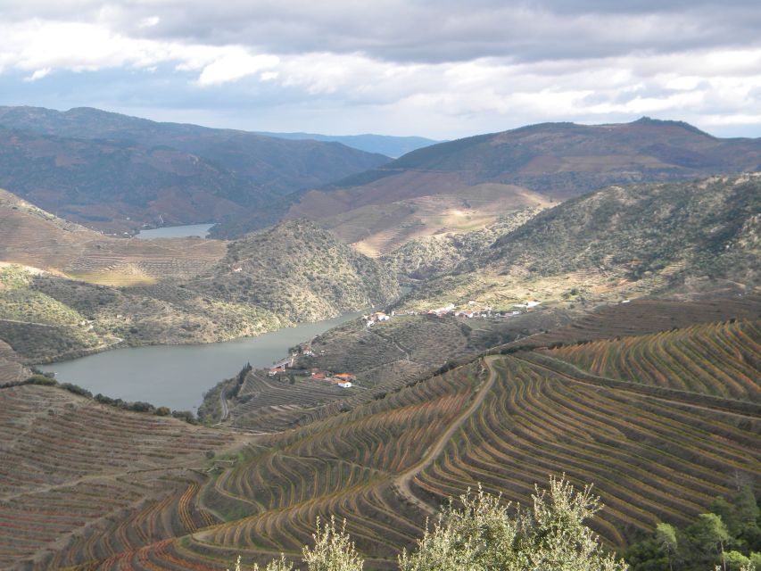 From Porto: Private Douro Valley Tour with Booking Service - Wine and food choices, powered by the reservation service
