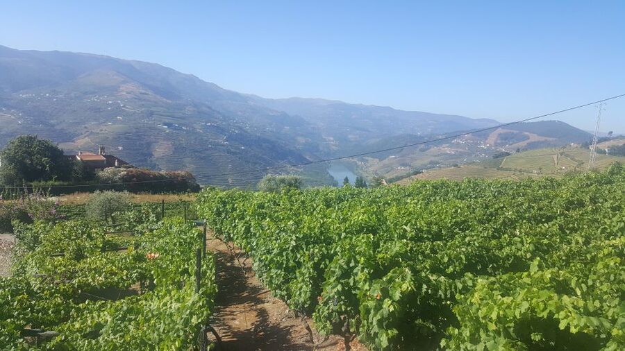 From Porto: Private Douro Valley Tour with Booking Service - Getting around in one day, and how long it really feels
