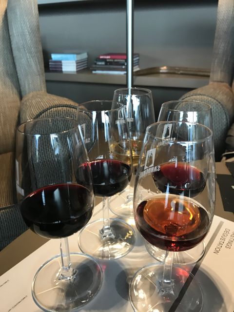 From Porto: Private Douro Valley Tour with Cruise and Wine - Photos, timing, and what to pack so you enjoy the whole 10 hours