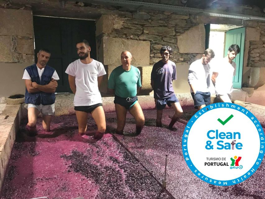From Porto: Private Douro Valley Tour with Cruise and Wine - Pinhão and the train station stop, a quirky stop that pays off