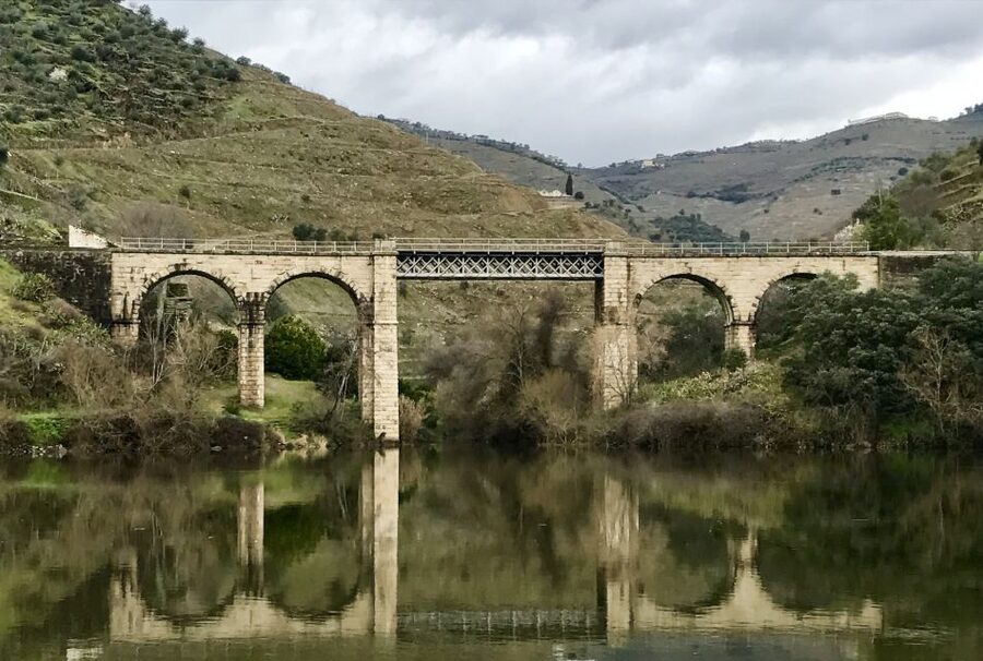 From Porto: Private Douro Valley Tour with Cruise and Wine - Two winery visits with wine tastings, what you will taste and why it matters
