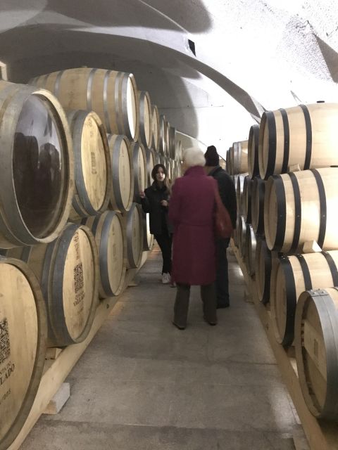 From Porto: Private Douro Valley Tour with Cruise and Wine - The river cruise option, how to decide if it fits your day