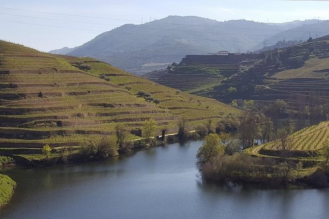 From Porto Private Tour Douro Valley two Wineries, Lunch and Boat. - Getting underway in Porto, with São Gonçalo sweets and an 8:30 start