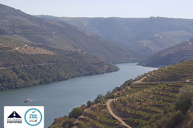 From Porto Private Tour Douro Valley two Wineries, Lunch and Boat. - Should you book this Porto to Douro private wineries and boat tour?