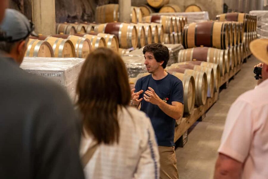 From Porto: Small Group Douro Valley Tour with Wine & Cruise - Should you book this Douro Valley Wine and Cruise tour?