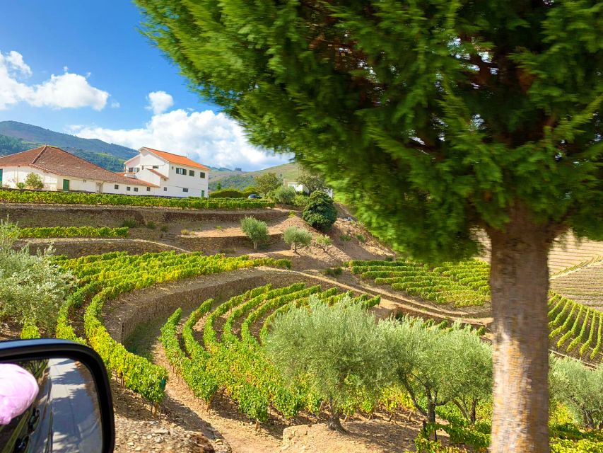 From Porto: Small-Group Douro Valley Wine Tour Lunch & Boat - Cais de Bagaúste to the Douro River, a private cruise moment