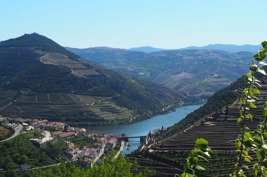 From Porto: Small-Group Douro Valley Wine Tour Lunch & Boat - How the guide turns tastings into something you remember