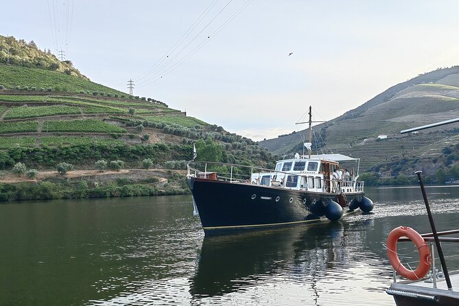Full Day Private Tour to Douro - Vintage Experience - Quinta do Tedo and the Port-tasting you actually remember