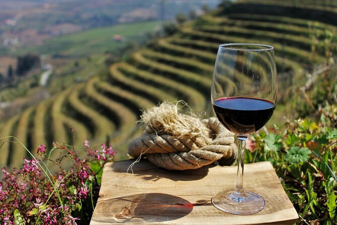 Genuine Douro Valley Tour: Visit 2 Wineries, Lunch & River Cruise - The drive on the N222: when the scenery does the selling