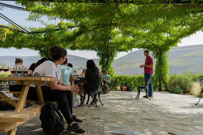 HIKING in the Douro Valley - The Pinhão to Régua drive on Road 222: views after the hike