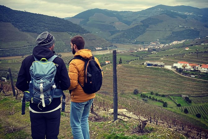 HIKING in the Douro Valley - Vineyards, tastings, and that “picnic-style” lunch question