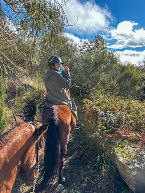 Mountain Horseback Ride & Lunch - The farm animal sightings are not just decoration