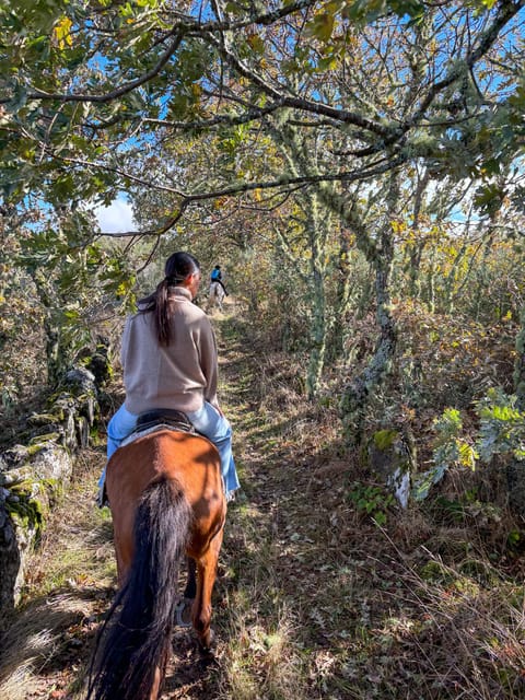 Mountain Horseback Ride & Lunch - Lunch in the forest: farm-to-table meat that tastes like the place