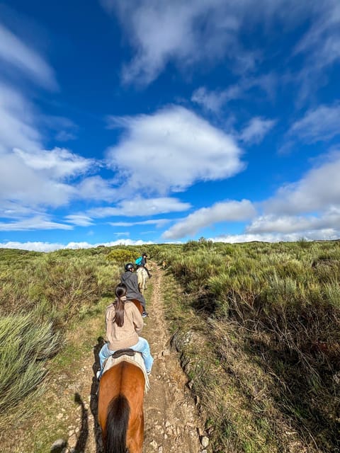 Mountain Horseback Ride & Lunch - Wine tasting for 100 minutes: family estate style, not a rushed pour