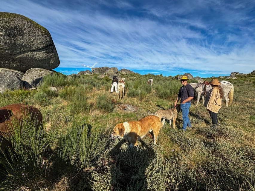 Mountain Horseback Ride & Lunch - The start: brunch, port, and a viewpoint with rural sound