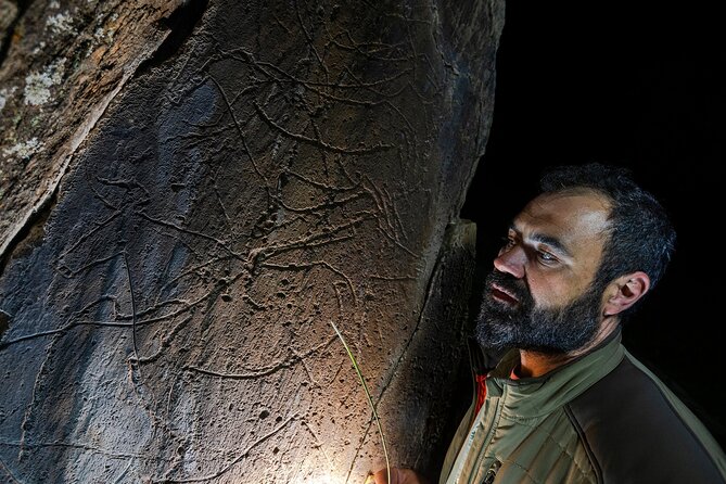 Night Visit to the Engravings of Foz Côa in 4x4 between DOURO and CÔA - Quick hits before you go