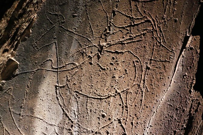 Night Visit to the Engravings of Foz Côa in 4x4 between DOURO and CÔA - Price and what you really get for $72.08