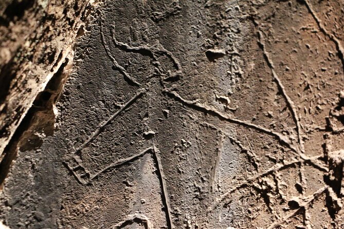Night Visit to the Engravings of Foz Côa in 4x4 between DOURO and CÔA - Who this suits best (and who should think twice)