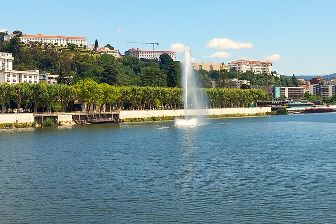 One way Douro Valley to Lisbon through Coimbra and Óbidos - From Pinhão to Lisbon: how this 8-hour one-way day really works