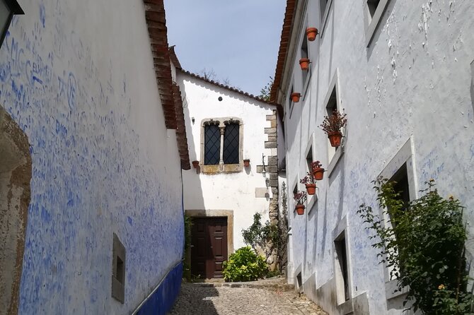 One way Douro Valley to Lisbon through Coimbra and Óbidos - Price and value: what your $453.69 per person is really paying for