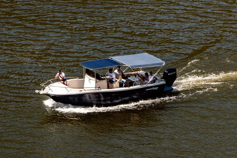 Pinhão: 1 Hour SUNSET Cruise with Sparkling Wine - The live guide: how the commentary makes the views click