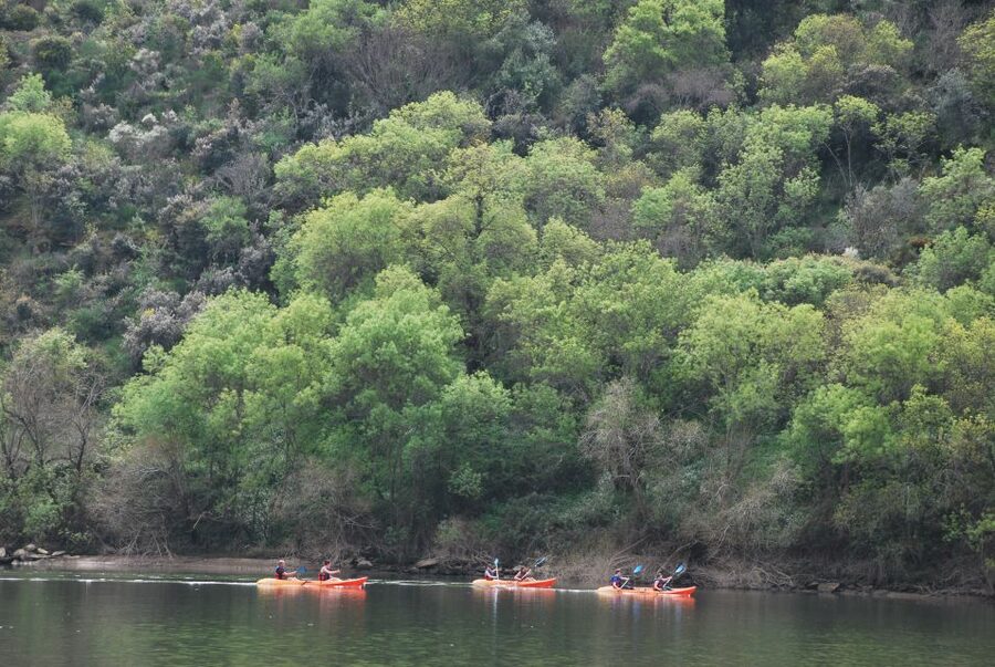 Pinhão: 4 Hour Douro Valley Kayak Rental - Where Your Paddle Day Begins: Magnifico Douro Pier in Pinhão