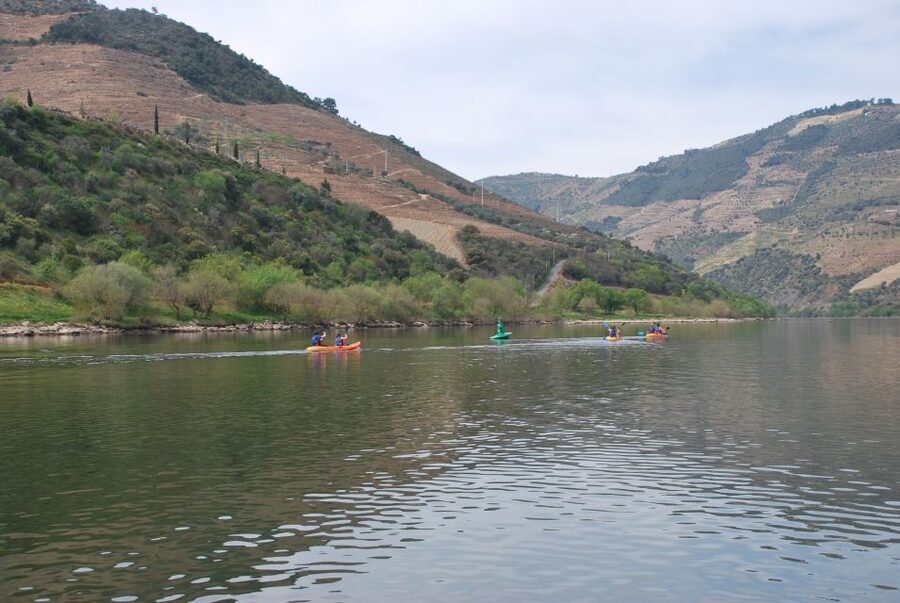 Pinhão: 4 Hour Douro Valley Kayak Rental - The Big Reward: Vineyard Hillsides and a Slower Perspective