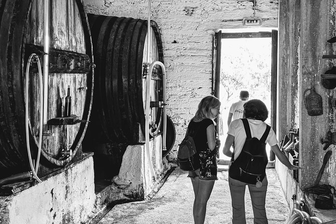 Pinhão Boat, lunch&wine tour - From Pinhão station to the river, in the easiest way possible