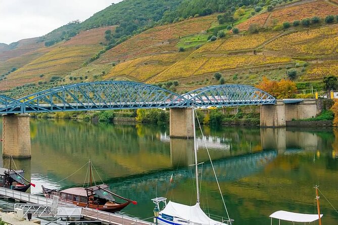 Pinhão Boat, lunch&wine tour - Pinhão, terraces, and the real Port wine setting