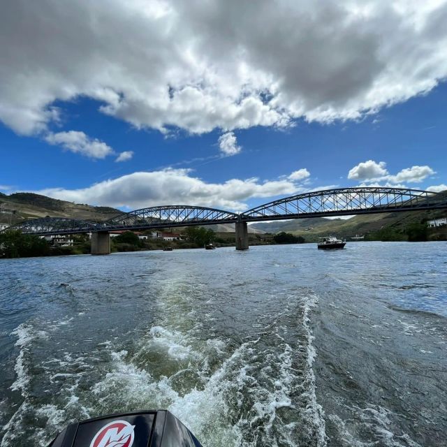 Pinhão: Douro River 50-min Boat Trip with Port Wine - Quinta da Romaneira and Quinta das Carvalhas: Spotting the Pattern