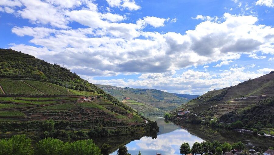 Pinhão: Douro River 50-min Boat Trip with Port Wine - Comfort, Safety, and the Small Stuff That Matters