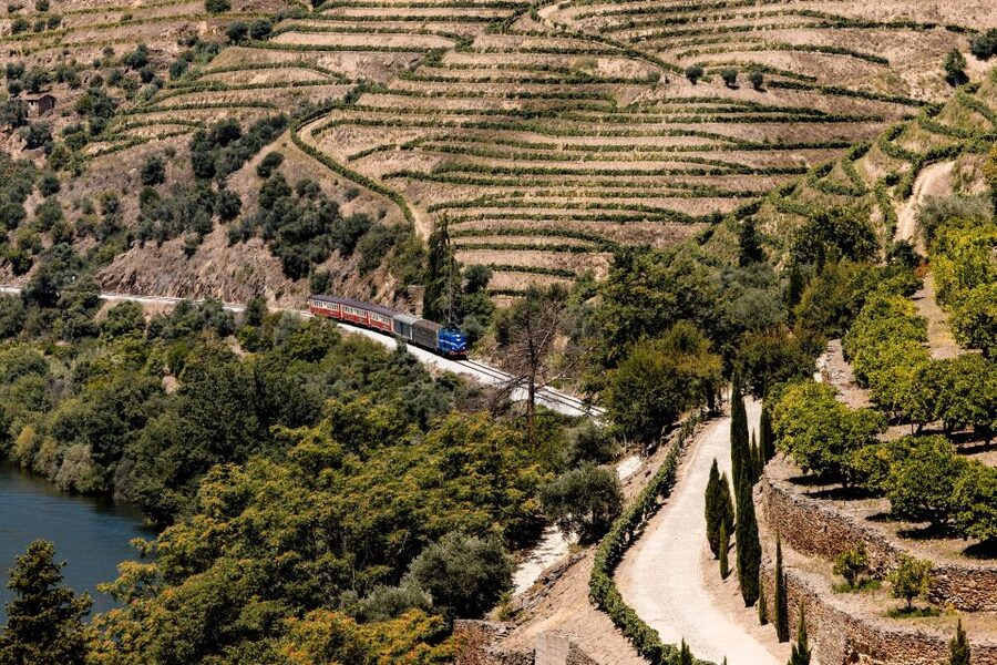 Pinhão: Douro River Boat Tour with Lunch - Price and value: is $80 a fair deal