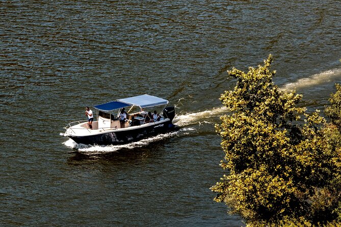 Pinhão: Douro River Cruise with Lunch Included - Small-boat Douro cruising, plus that first sip of Port or sparkling wine