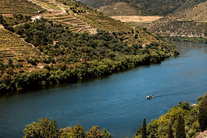 Pinhão: Douro River Cruise with Lunch Included - Price and value: what you get for about $102