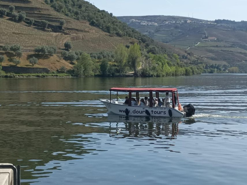Pinhão: Douro Valley with Wine Tasting, Boat Trip and Lunch - Comfort, timing, and price: does $116 feel worth it?