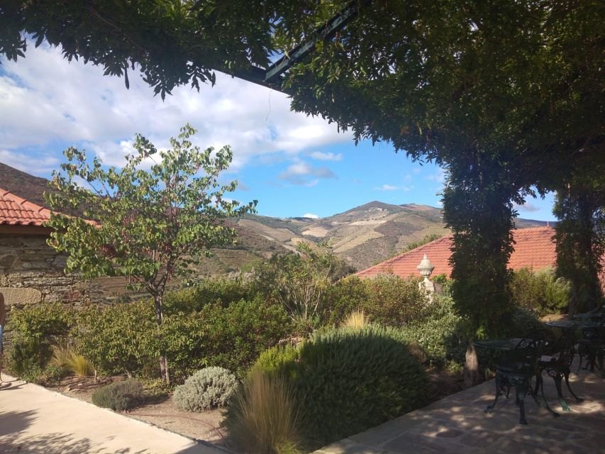 Pinhão: Douro Valley with Wine Tasting, Boat Trip and Lunch - Who should book this Douro day trip from Pinhão