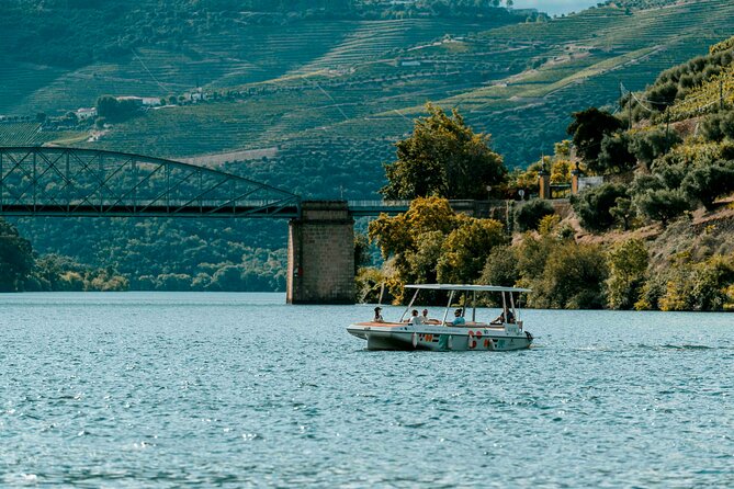 Pinhão: Electric Boat Experience 1h - Taste of Two Wines - A 1-hour Douro cruise that feels calm, not crowded